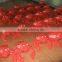 Inflatable red shrimp crawfish model for promotions