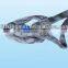 Rigid LIFTKING brand Round Sling in stock