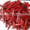 dried tianying chilli