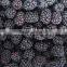IQF/Frozen Blackberry