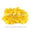 Fell Pasta. 100% Durum Wheat semolina flour. High quality Past Fell Nb 0, Macaroni. Bag:500g. Healthy Mediterranean Fell Pasta
