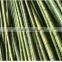 Nature Dried Bamboo Pole diameter 2-10cm Height 6m for sale