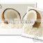 Organic Dried Desiccated Instant Coconut Water Powder