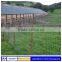 Low price hot dipped galvanized grassland fence for security for sale(Factory)