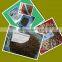 Manufacture low price Granular DAP