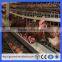 A type poultry cages for hens with egg collection machine steel layer cages(Guangzhou Factory)