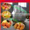 vegetable and fruits dehydrator machine
