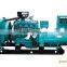 Popular with the users 60-250 kw gas generators