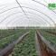 Tunnel 600 film cover low cost agricultural farming Galvanized Steel Frame green house easily assembled single or multi span