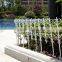 Plastic Garden Fence, lawn edging, hot selling