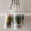 Creative Mini Plant Keychain, Glass Potted Meaty Cactus Plant Design Personality Decorative Keychain Micro Mini Gift Keychain