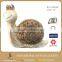 13 Inch Snail Fiberglass Animals Statues For Sale