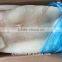 2017 new arrived frozen Vietnam squid with best price