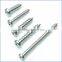 Din7981 pan head self tapping screw tapping made in China