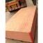 Good Quality Bintangor Plywood for Furniture and Packing
