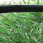 Drip Irrigation
