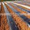 Woven 200 Micron 5-year Use Life and UV Stabilized 100% HDPE Plastic Green Houses Film for Agriculture Mushroom Used