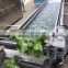 Vegetable washer conveyor belt/root vegetable washer/lettuce vegetable washing machine
