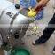 Garlic leek green vegetable cutter potato apple lemon cutting machine