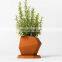 Desktop corten steel planter polygon boxes