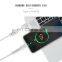 PAVAREAL DC96 6A Super Fast Charge Data Cable for Micro and Type-C with Gift Package