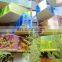 tinted glass colored laminated glass