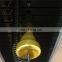 Factory Directly Supply LZX Fitness Leg Extension for Body Building