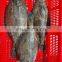 Good quality frozen pointhead flounder fish for sale