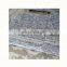 Oyster Pearl Granite