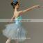 Performance Flower Fairy Pancake Tutu, Professional Customized Tutu (DZ000019)