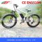 FJ-TDE07, Selfdesign selling electric bikes 500 watts