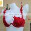 Hot Sexy Triangle Bright Red Flower Lace Bra With Wedding Hall