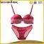 Sexy Lace Bra Panty Model New Style Push up Brand New Bra Panty Supplier's Choice