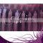 Tangle Free High Quality Wholesale Hot Selling Shedding Free Human fan tip hair extensions