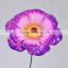 6 Plastic Morning Glory Single Stem Artificial Flower Arrangement