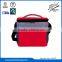 Portable fashion new style cooler bag with handle