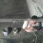 Js Polymer Waterproofing Coating