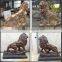 The bronze lion animal sculpture Wrought brass outdoor urban landscape sculpture