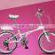 20 inch High-carbon steel folding bike 7 speed gear bicycle