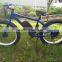 China brand new fat tire MTB, long range electric bike 250W for europe market wholesale