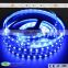 Epistar chip 24v non-waterproof blue 5050 LED strip light by mufue