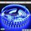 Epistar chip 24v non-waterproof blue 5050 LED strip light by mufue