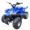 1000W 48V Electric Quad Bike for Sale