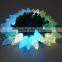 Programmable WS2801 Led Christmas Lights for Holiday Decoration