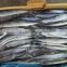 Good Quality Hot Sale Pacific Saury # 4 from China
