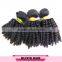 Full Cuticle One Donor Unprocessed Fast Delivery Virgin Hair Bohemian Remy Human Hair Extension
