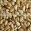 Roasted sesame seed