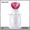 Best quality !restoration dry face home use beauty electric ionic nano care facial steamer