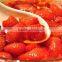 canned strawberry