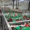 canned tomato paste of brix 28-30% size 70g -4500g tomato paste factory